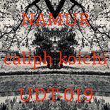 Artwork for "Namur"
