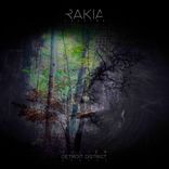 Artwork voor "Detroit District"