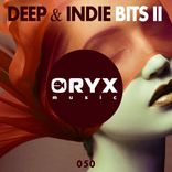 Artwork für "Deep & Indie Bits, Vol. 2"