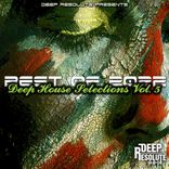 Artwork für "Deep House Selections, Vol. 5"