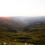 Artwork for "World W/O Friendship"