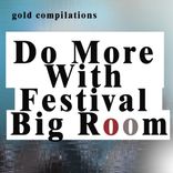Artwork for "Do More With Festival Big Room"
