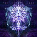 Artwork voor "Fifth Dimension"