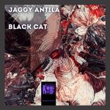 Artwork voor "Black Cat"