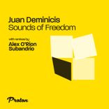 Artwork for "Sounds of Freedom (Subandrio, Alex O'Rion Remix)"