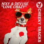 Artwork voor "Love Crazy"