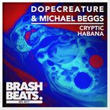 Artwork for "Cryptic"