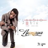 Artwork for "Numaya"