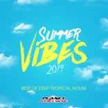 Artwork for "Summer Vibes 2019: Best of Deep Tropical House"