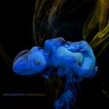 Artwork für "Untouchable"