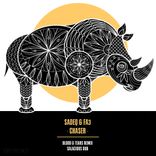 Artwork for "Chaser"