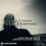 Artwork for "Voices In My Head"