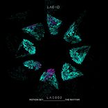 Artwork for "The Rhythm"