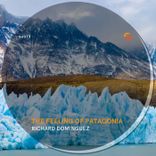 Portada para "The Feeling of Patagonia"