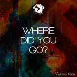 Artwork for "Where Did You Go?"