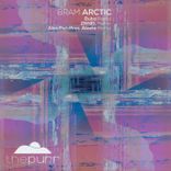 Portada para "Arctic"