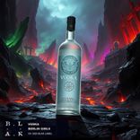 Artwork für "Vodka"