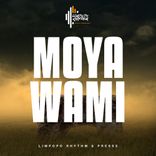 Artwork voor "Moya Wami"
