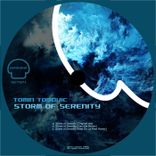 Artwork voor "Storm Of Serenity"