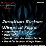 Artwork for "Wings Of Flight"