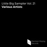 Artwork for "Little Big Sampler, Vol. 21"
