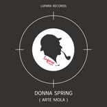 Artwork for "Donna Spring"
