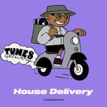 Artwork for "House Delivery"