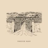 Artwork for "Forever Baby"