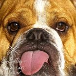 Artwork for "Carlito"