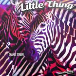 Artwork for "Little Thing"