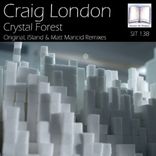 Artwork voor "Crystal Forest"