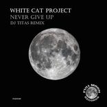 Artwork for "Never Give Up (DJ TITAS Remix)"