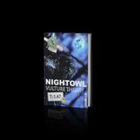 Artwork for "NightOwl"