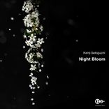 Artwork for "Night Bloom"