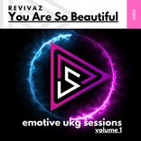 Artwork for "You Are So Beautiful"