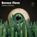 Artwork for "Borneo Flava"