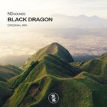 Artwork voor "Black Dragon"