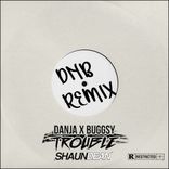 Artwork for "Trouble (Shaun Dean Remix)"