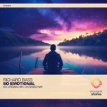 Artwork voor "So Emotional"