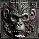 Artwork for "Supreme Funk"