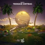 Artwork für "Teenage Dirtbag"