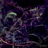 Artwork for "Catharsis"