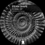 Artwork for "Fossil EP"