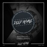 Portada para "Insane Selection"