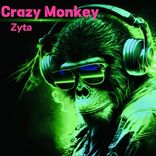Portada para "Crazy Monkey"
