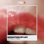 Portada para "Sensation of Luv"