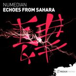 Portada para "Echoes From Sahara"