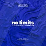 Artwork for "No Limits"
