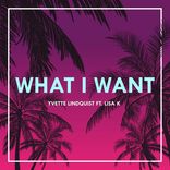 Artwork for "What I Want"