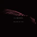 Portada para "Walking on fire"